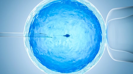 культивирование эмбрионов in vitro до стадии бластоцист